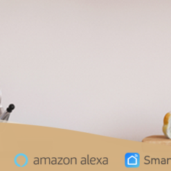 Smart Wall Sockets